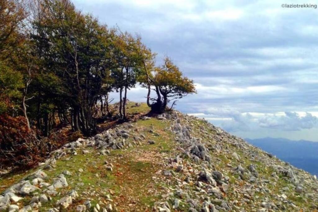 Chi Ama Il Mare Appartamento Латина Экстерьер фото